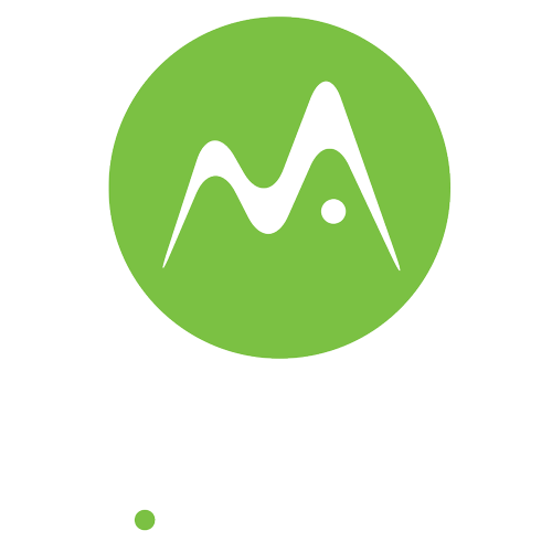 m.zoro Consulting Services